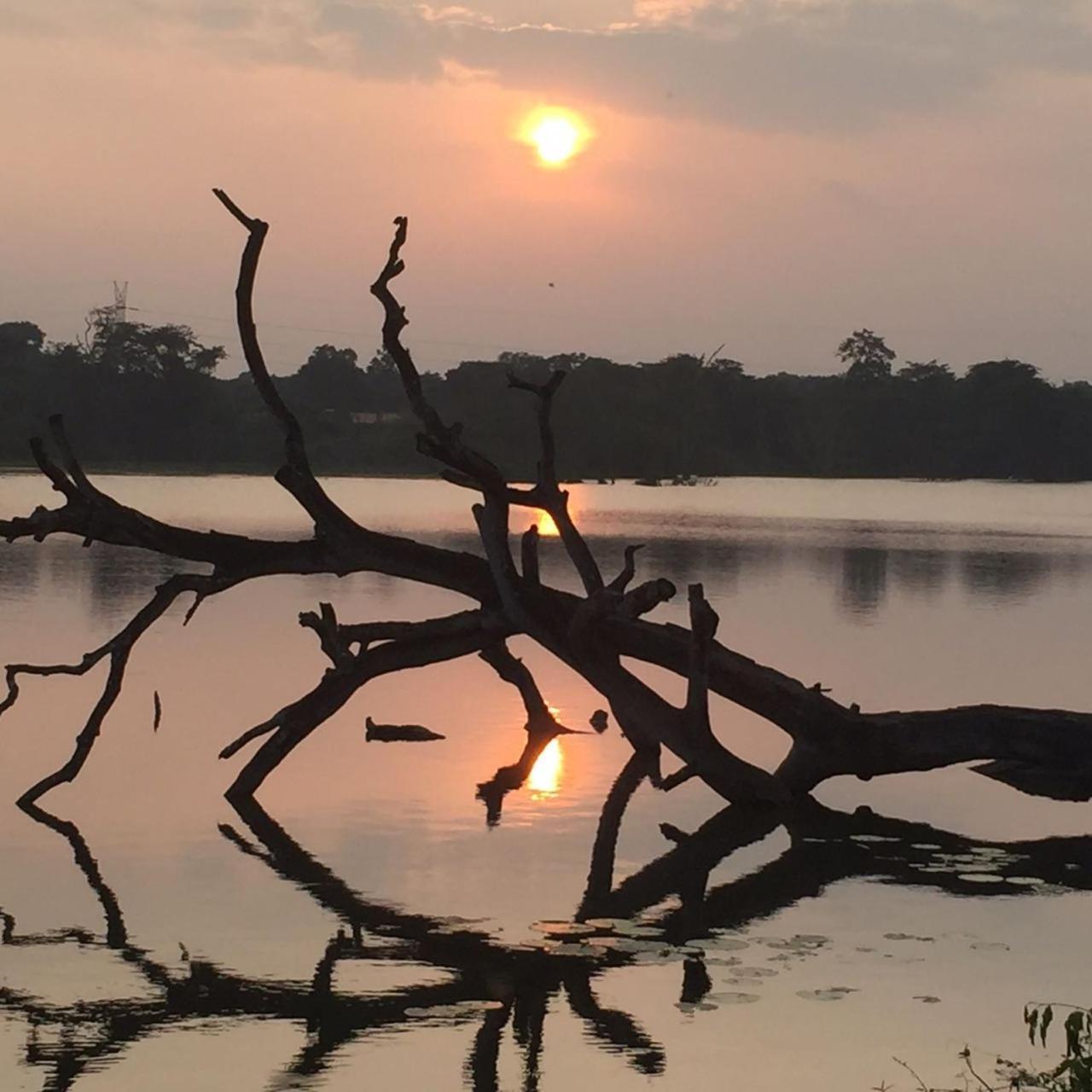 Sun Ceylon -Habarana Daire Kibissa Dış mekan fotoğraf