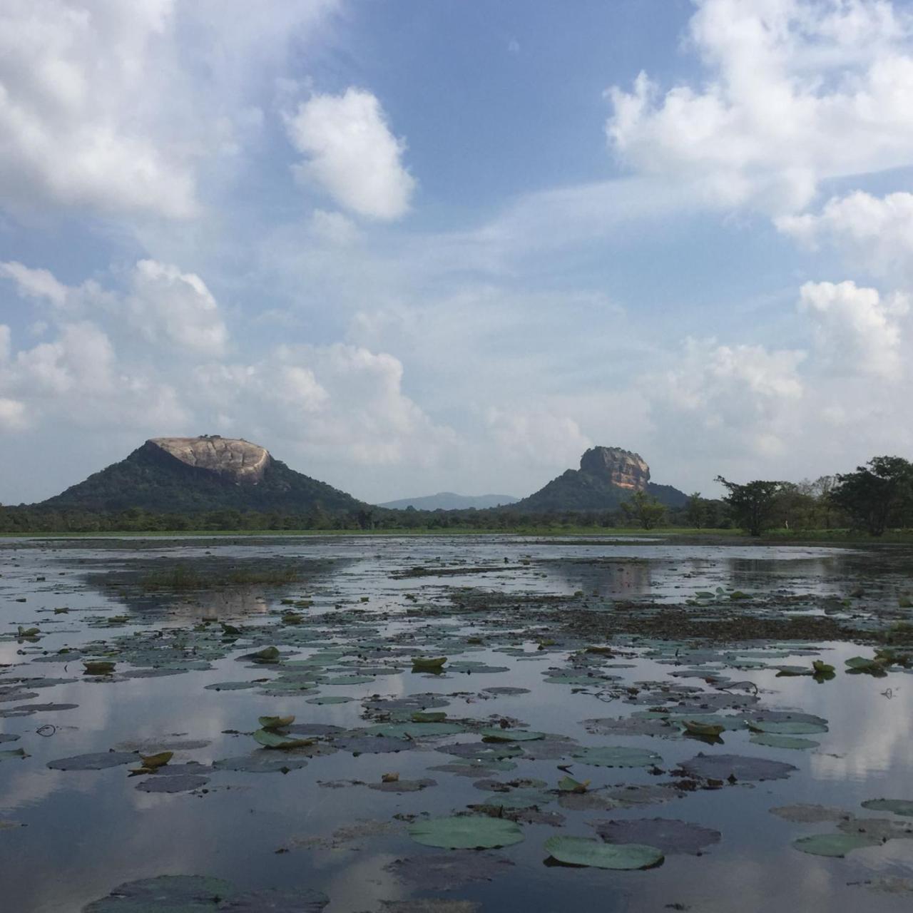 Sun Ceylon -Habarana Daire Kibissa Dış mekan fotoğraf